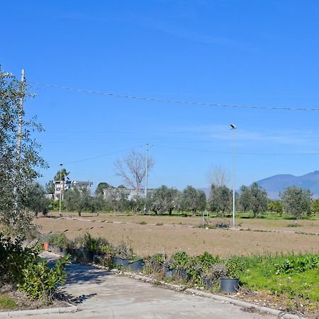 Don Peppe Rooms : Villaggio Green Sant'Angelo in Formis Dış mekan fotoğraf