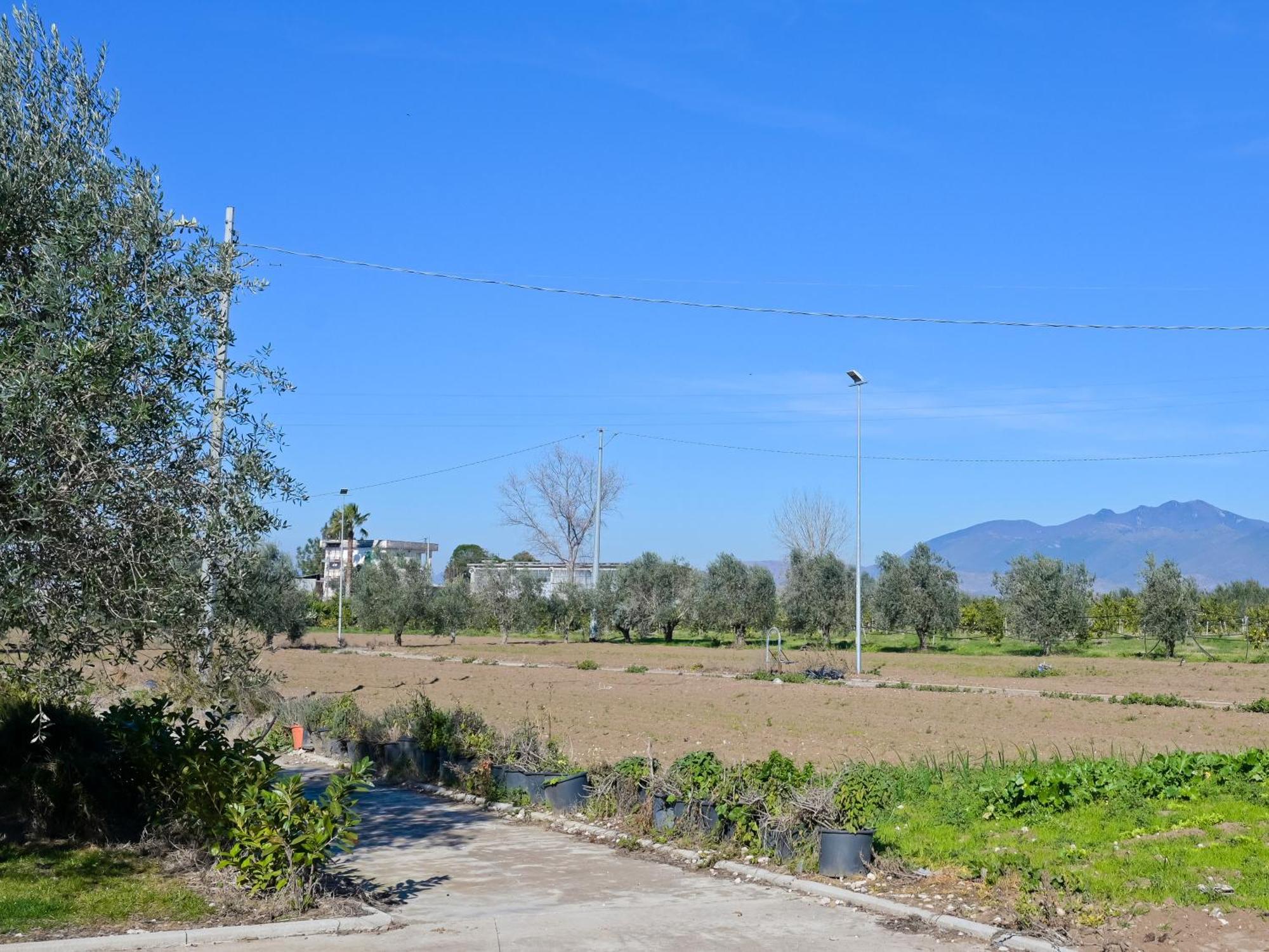 Don Peppe Rooms : Villaggio Green Sant'Angelo in Formis Dış mekan fotoğraf