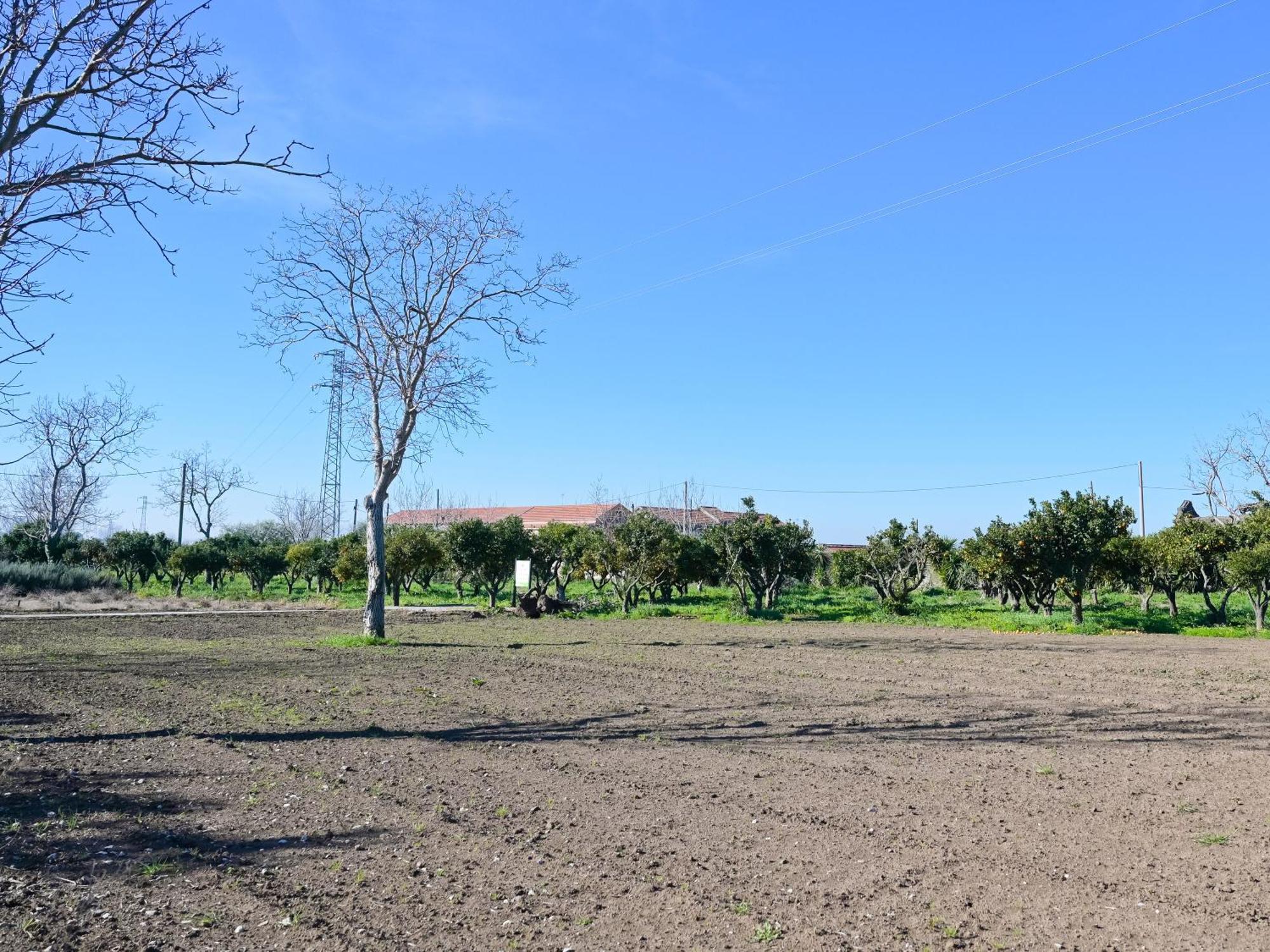 Don Peppe Rooms : Villaggio Green Sant'Angelo in Formis Dış mekan fotoğraf