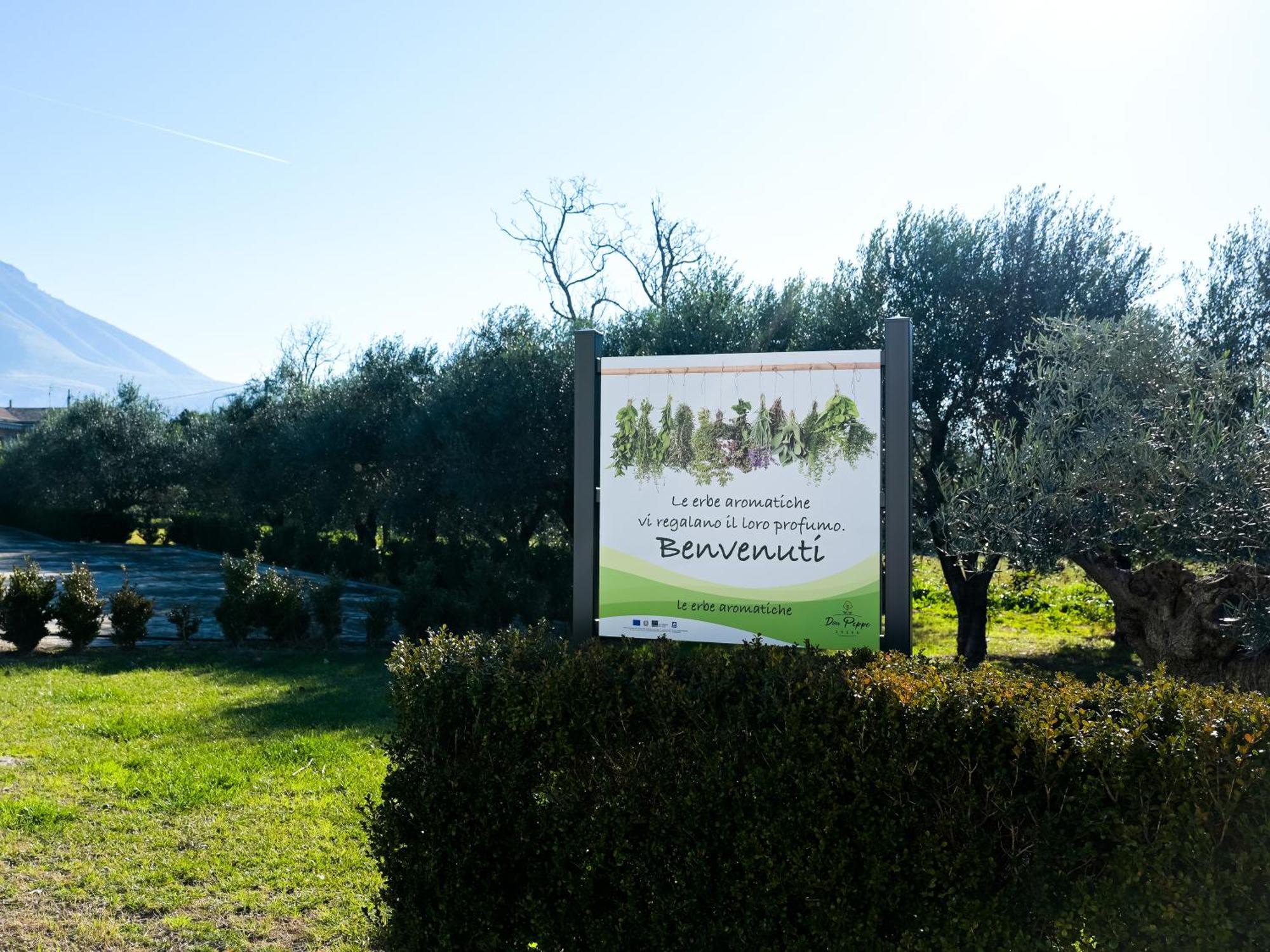 Don Peppe Rooms : Villaggio Green Sant'Angelo in Formis Dış mekan fotoğraf